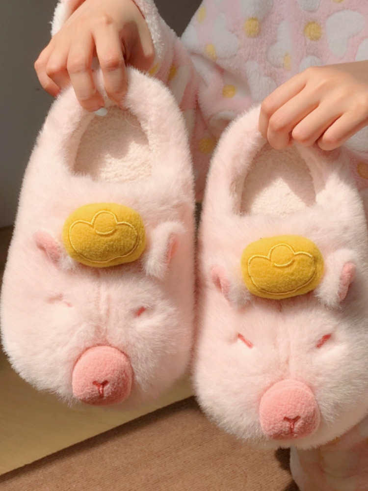Home Slippers Women's Winter C - огляд і ціна Winter Cloth